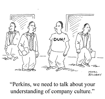 2015-05_company-culture-cartoon
